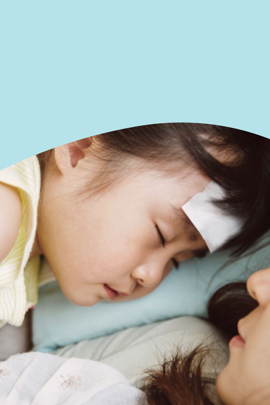 伟易博(中国区)官方网站